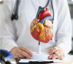 Cardiac surgery support